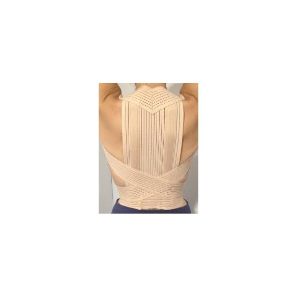 ESPALDERA ES-2210 TALLA 1